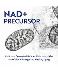 Nobi Nutrition Nmn Supplement 500mg, Pure Nicotinamide Mononucleotide for Cellular Energy, Longevity, Repair, and Healthy Aging Support 60 Count