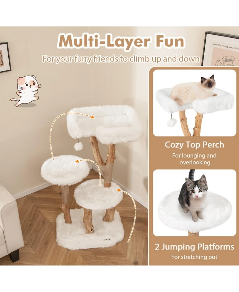 Hongge Solid Wood Cat Tree with Jute Scratching Posts