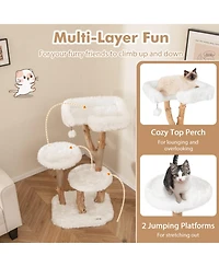 Hongge Solid Wood Cat Tree with Jute Scratching Posts