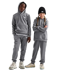 The North Face Boys' and Girls' 7-20 Evolution Simple Dome Long-Sleeve Hoodie