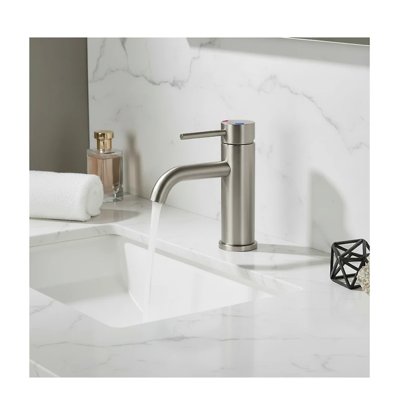Busdays Single Handle Bathroom Faucet Lavatory Faucet Stainless Steel Single Hole Brushed Nickel