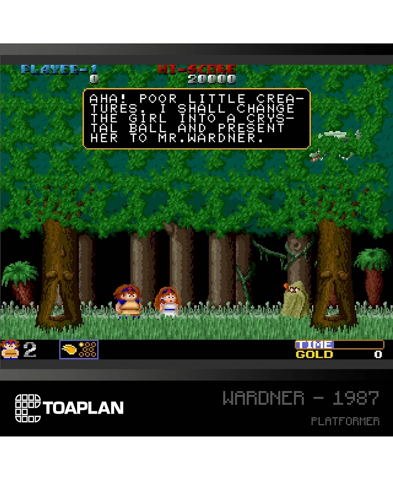 Blaze Entertainment Toaplan Cartridge 2 Evercade