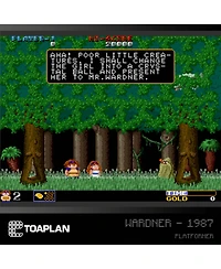 Blaze Entertainment Toaplan Cartridge 2 Evercade