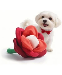 Nocciola Rose Blossom Dog Valentines Toy, Squeaky and Crinkle Rose with Tearable Petals, Hide and Seek Enrichment Toy for Dogs