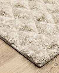 Oriental Weavers Wonder WON02 5'3"x7'6" Area Rug