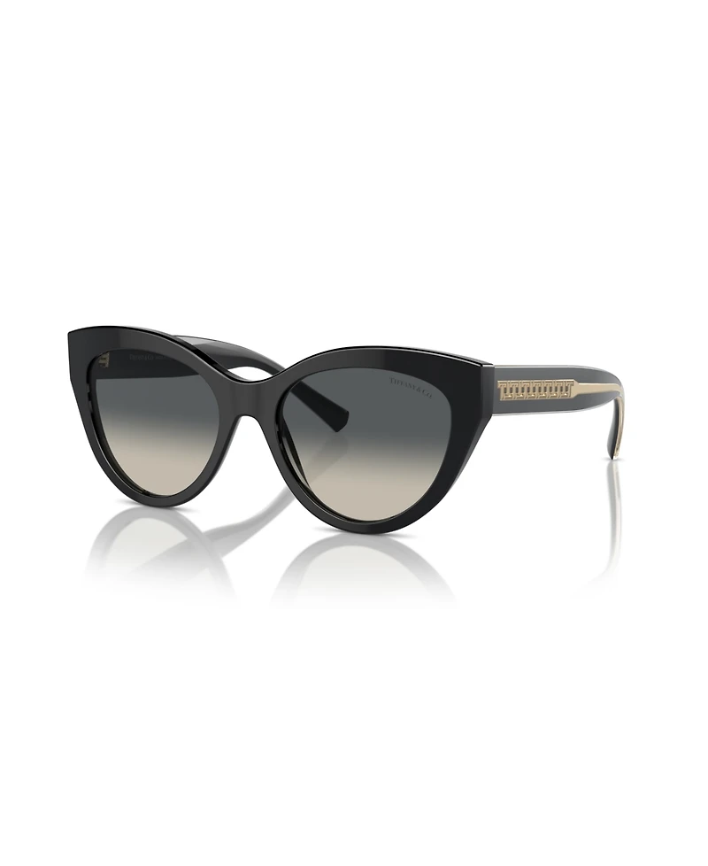 Tiffany & Co. Women's Sunglasses