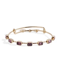 Alex and Ani February Birthstone Emerald Cut Bangle