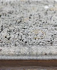 Feizy Sarrant 3965F 2'8"x8' Runner Area Rug