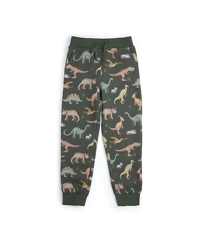 Sweet Wink Big Boys Dinosaurs Rock Jogger
