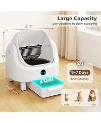 Ruie Automatic Self Cleaning Cat Litter Box for Multi Cat with Smart App Control
