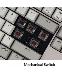 Lofree Wired Mechanical 104-Key Full-Size Keyboard for Windows and Mac