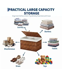 homfan Pe Rattan Storage Basket with Lid and Removable Liner, Divided Large Capacity Organizer Bin, for Bedroom, Living Room, Bathroom