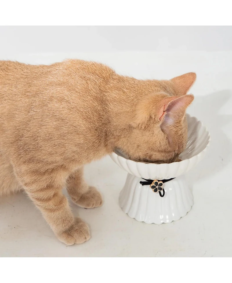 Dexypaws Elevated Cat Bowl