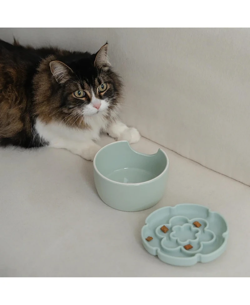 Dexypaws Elevated Slow Feeder: Flower