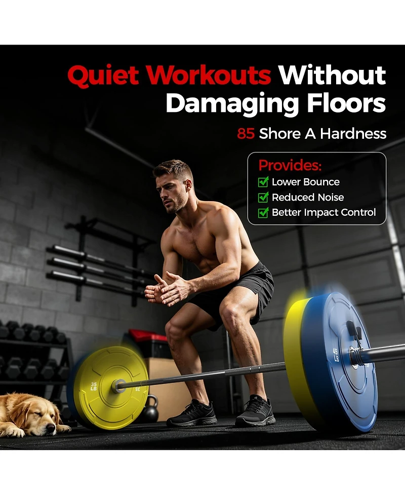 Fed Fitness Bumper Plate Set 2 Inch Olympic Weight Plates Pair Tested Rubber Plates Steel Insert for Barbell Home Gym