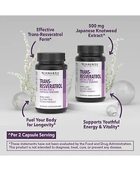 Havasu Nutrition Resveratrol 500 mg | Resveratrol from Japanese Knotweed Root | 60 Capsules