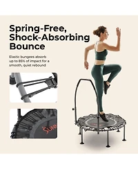 Sunny Health and Fitness Active Fitness Trampoline with Adjustable Handlebar