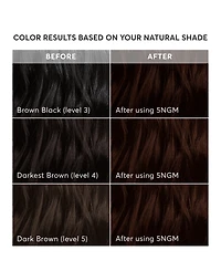 Madison Reed 8-Piece Catania Dark Mahogany Brown Radiant Hair Color Kit