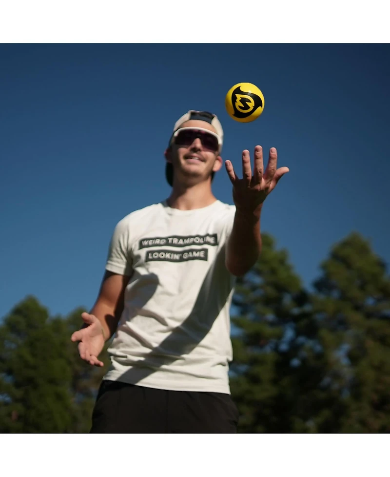 Spikeball Pro Balls - 2pack