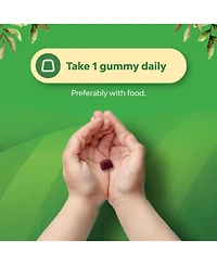 Nature's Craft Kids Elderberry Gummies with Zinc and Vitamin C, Daily Immune Support Gummies for Children, Raspberry Flavor, 60 Count