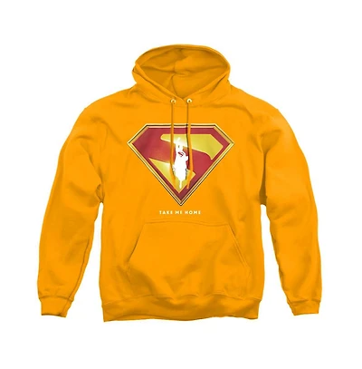 Superman Men's Take Me Home Shield Pull-Over Hoodie