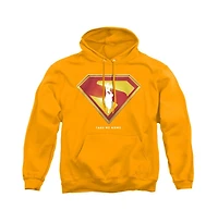 Superman Men's Take Me Home Shield Pull-Over Hoodie