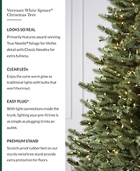 Balsam Hill 9' Pre-Lit Vermont White Spruce Ledc Artificial Christmas Tree