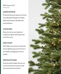Balsam Hill 6.5' Pre-Lit Fraser Fir Ledc Artificial Christmas Tree