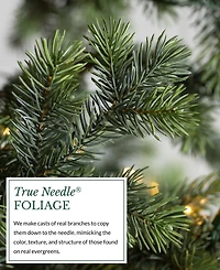 Balsam Hill Yukon Spruce Slender 6' Tree