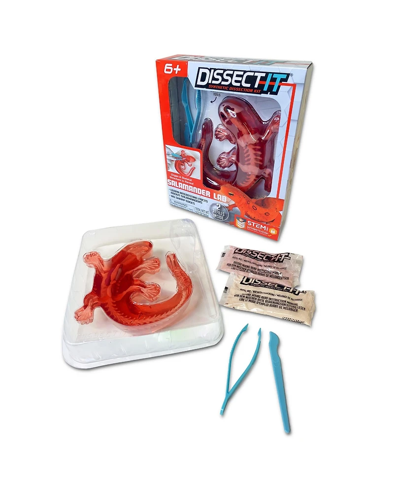 Dissect-It Salamander Anatomy Lab Toy, Ages 6+