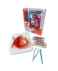 Dissect-It Salamander Anatomy Lab Toy, Ages 6+