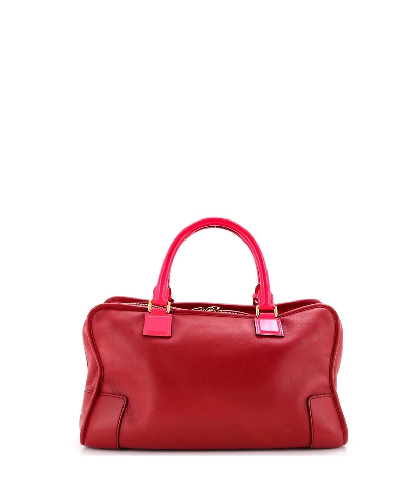 Pre-Owned Loewe 36 Amazona Bag Leather