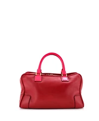 Pre-Owned Loewe 36 Amazona Bag Leather