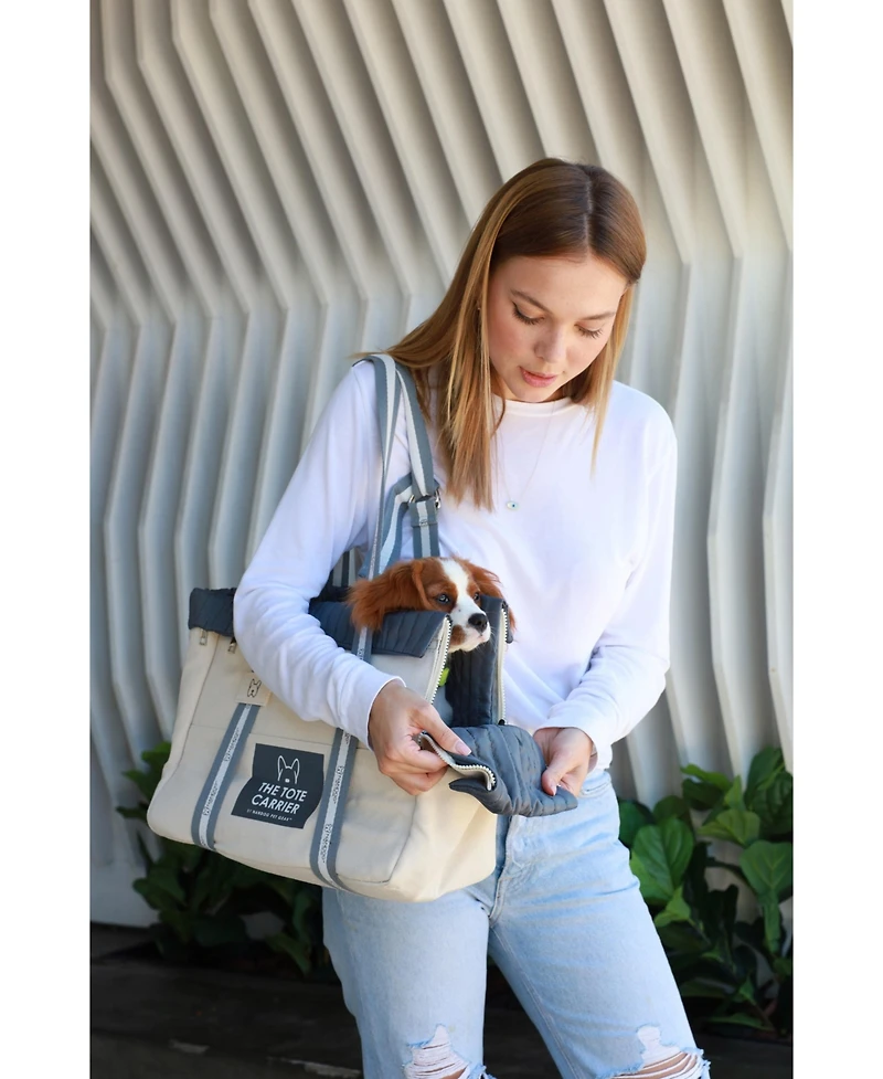 Nandog The Tote City Carrier