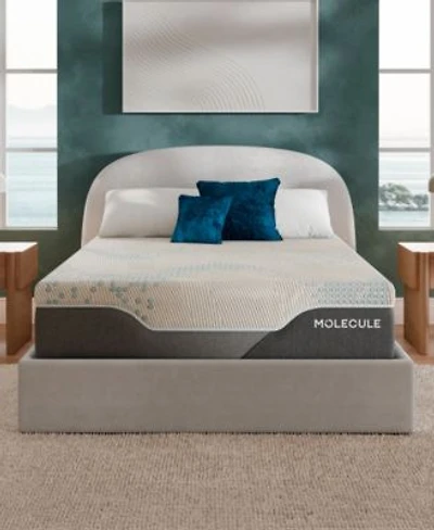 Molecule Reflex Elite Plush Memory Foam Tight Top Mattress In A Box Collection
