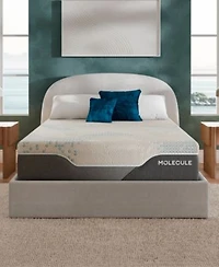 Molecule Reflex Elite Plush Memory Foam Tight Top Mattress In A Box Collection