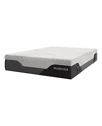 Molecule Reflex Elite 14" Plush Memory Foam Tight Top Mattress in a Box