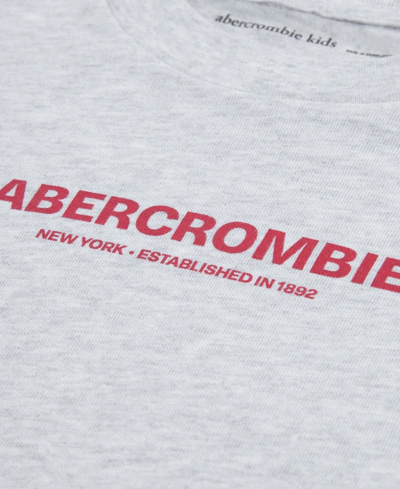 abercrombie kids Boys' 5-18 Long-Sleeve Graphic Twofer T-Shirt