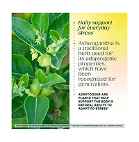MegaFood Thyroid Strength, Ashwagandha, Zinc, Selenium, Iodine, L-Tyrosine and Copper, 90 Ct