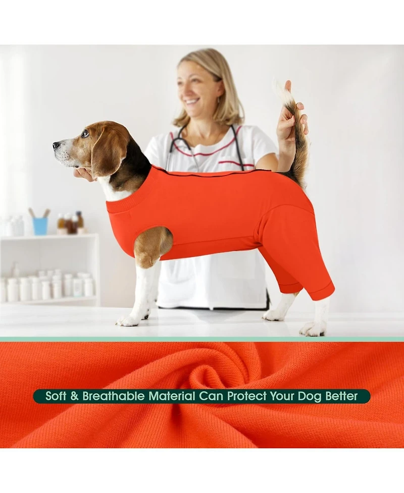 Soft Recovery Suit with Rear Leg Sleeve and Abdominal Cover for Post-Surgical Dog Care