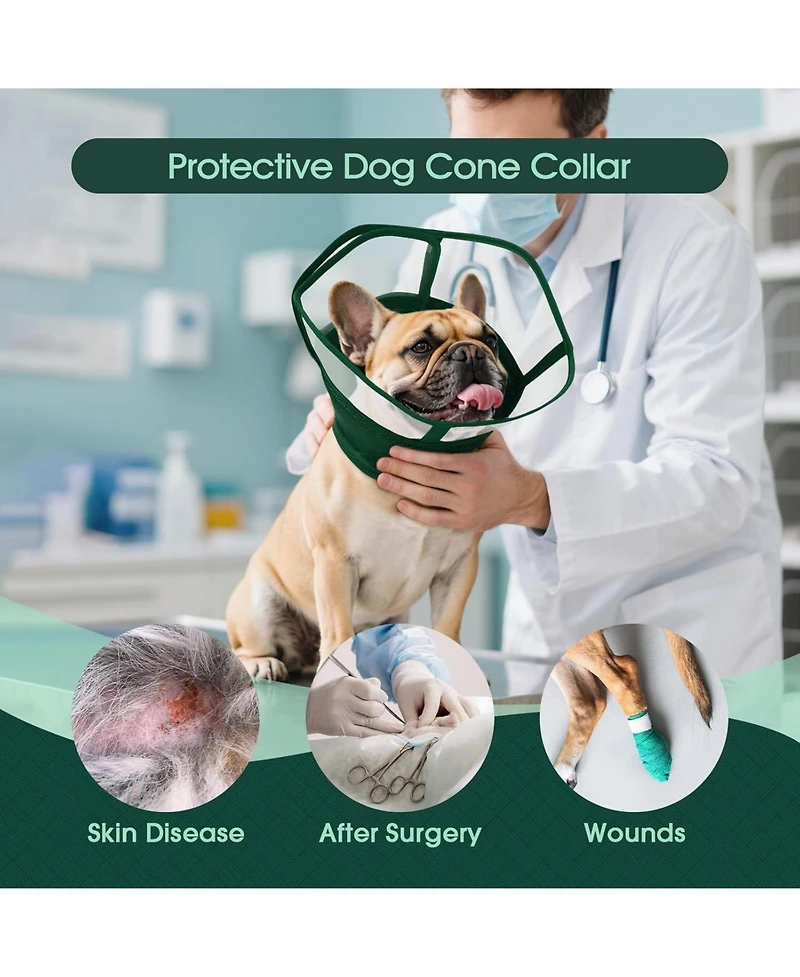 Soft Double-Layer Mesh and Transparent Pvc Recovery Cone Collar for Dogs