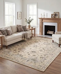 Lr Home Caradoc Amb-106 5'9" x 8'9" Area Rug