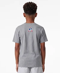 Champion Big Boys and Girls Heather Gray New England Patriots Disney X Champion T-Shirt