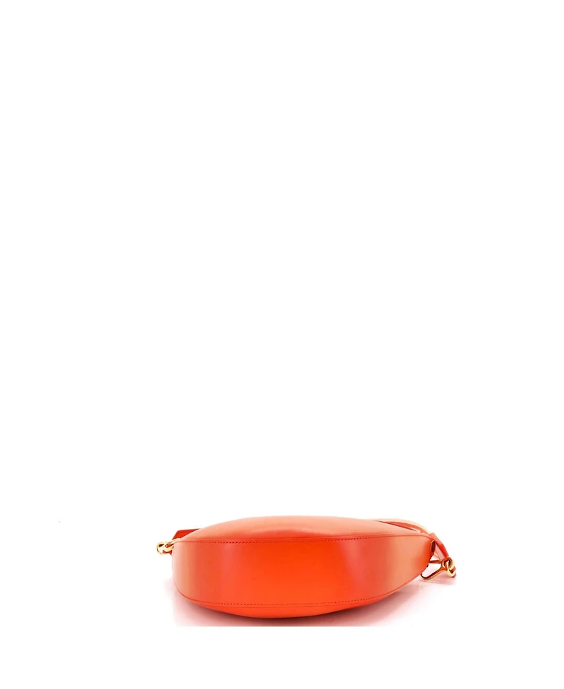 Pre-Owned Loewe Luna Hobo Leather