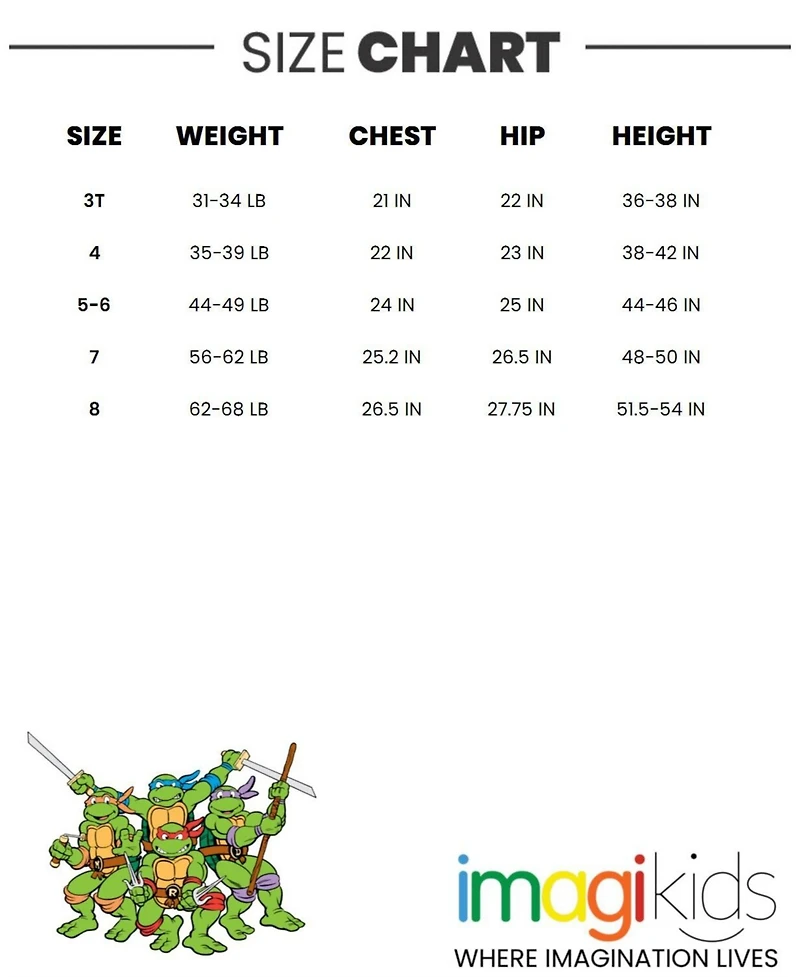 Teenage Mutant Ninja Turtles Toddler Boys Fleece Pullover Hoodie to (2T - 18-20)