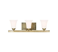 Livex Ridgedale Metal 3-Light Vanity