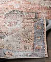 Livabliss Amelie Aml 2309 Rose Machine Washable Area Rug Collection