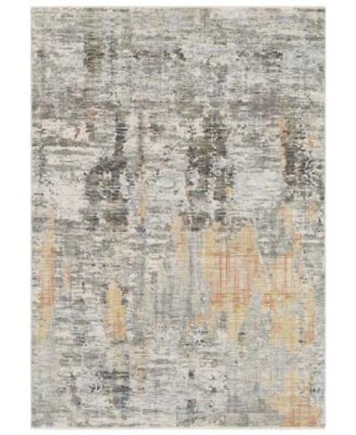 Livabliss Presidential Pdt 2306 Runner Area Rug Collection