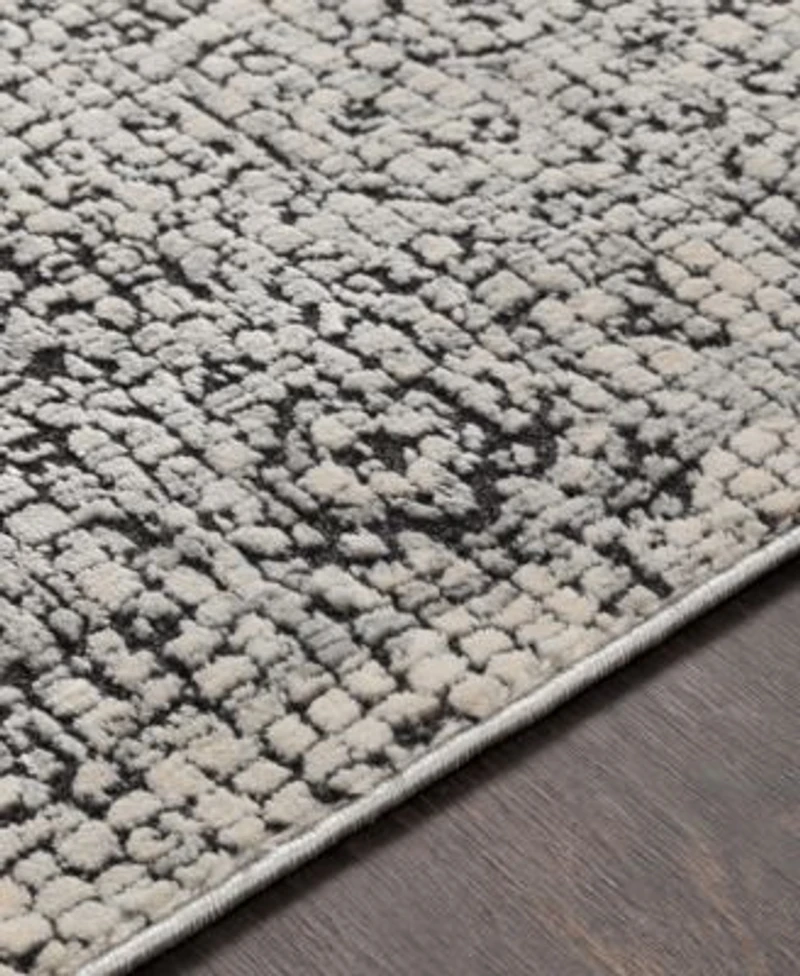 Livabliss Venezia Vnz 2309 Medium Gray Area Rug Collection