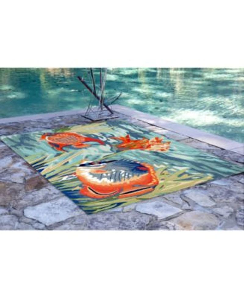 Liora Manne Ravella 2255 Tropical Fish Blue Indoor Outdoor Area Rug